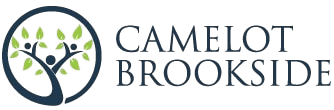 Camelot Brookside SLC Care Facilities